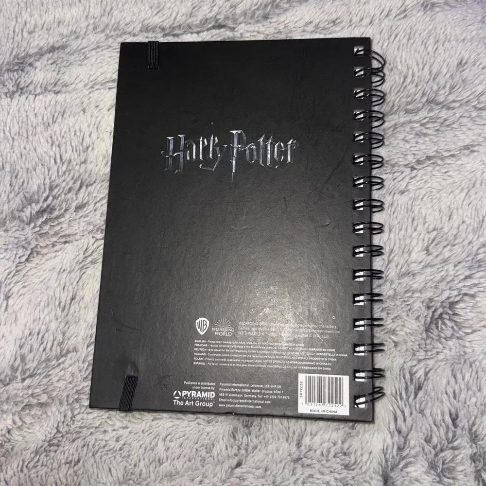 Harry Potter Sirius Black 